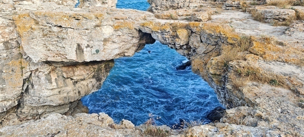 Tyulenovo